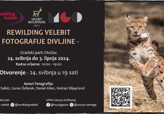 Poziv na izložbu „Rewilding Velebit – fotografije divljine“ u Otočcu