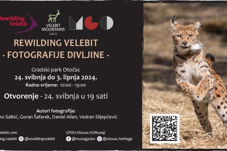 Poziv na izložbu „Rewilding Velebit – fotografije divljine“ u Otočcu
